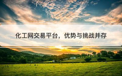 化工网交易平台，优势与挑战并存